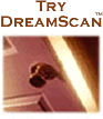 Try DreamScan